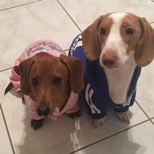 Meet your Posher, Rosalind